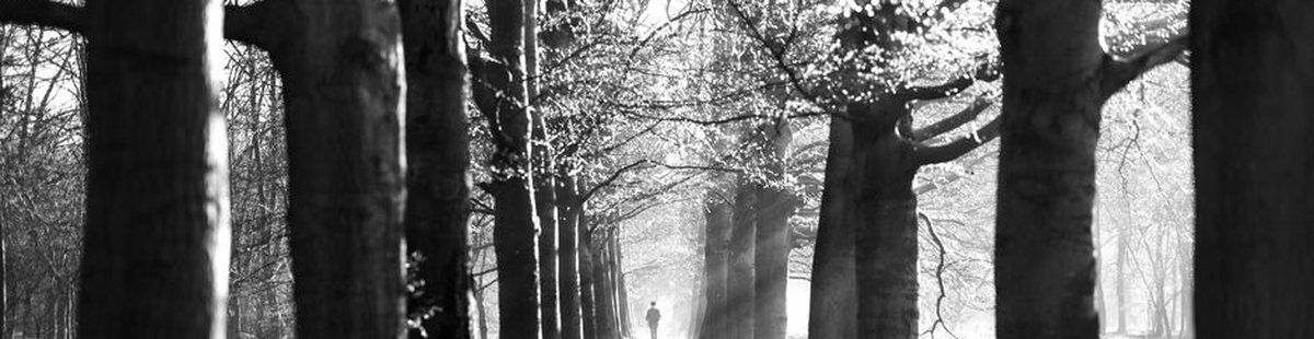 person walking forward sunrise path freedom
