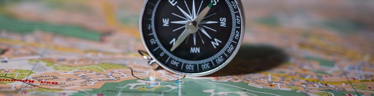 compass direction goal planning